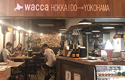 wacca from Hokkaido